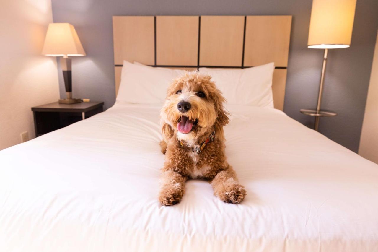 Sonesta Simply Suites Detroit Troy Eksteriør bilde